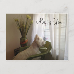 Missing You... Postcard