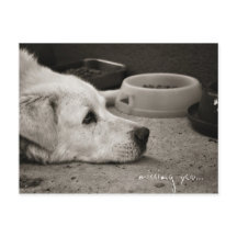 Missing you - Postcard