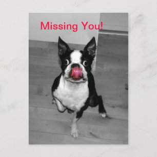Missing You Postcard