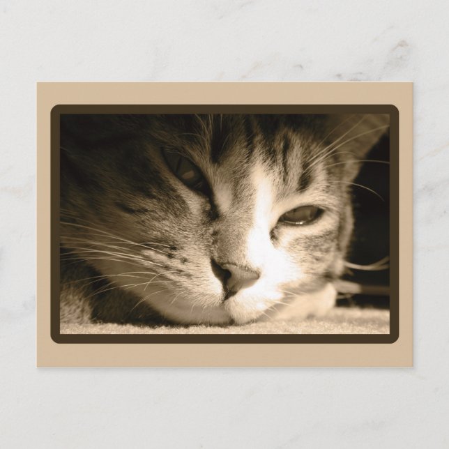 Missing You Postcard (Front)