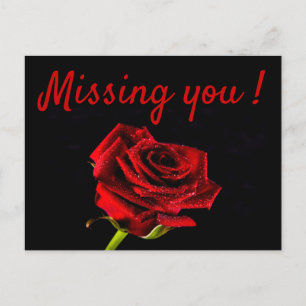 Missing you romantic red rose photo postcard