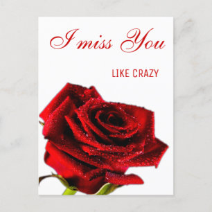 Missing you romantic red rose postcard