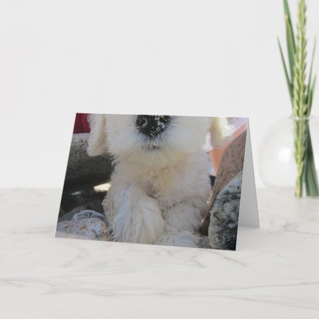Missing You, Romantic with Cute Goldendoodle pup Card (Front)
