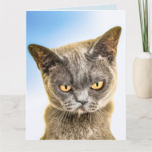 MISSING YOU SAD CUTE CAT CARD