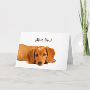 Missing You Sad Dog Greetings Card
