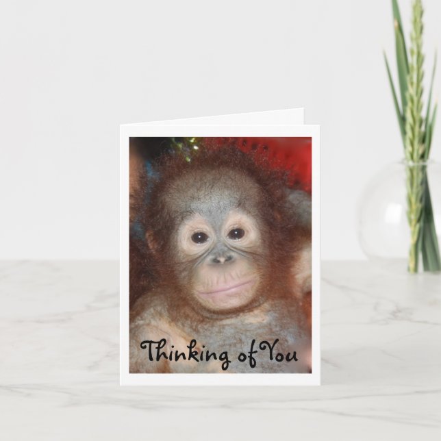 Missing You Sad Face Baby Animal Card (Front)