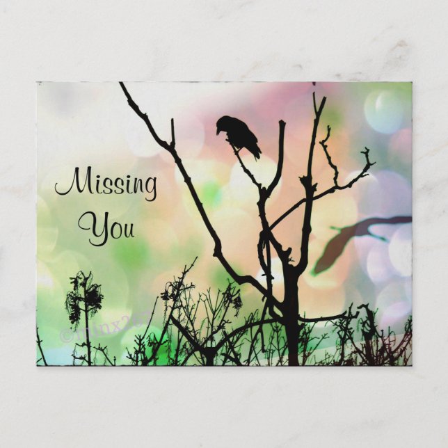 Missing You, The Lonely Crow Postcard (Front)