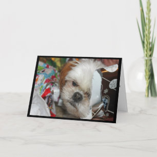 "Missing You This Christmas" Card With Shih tzu