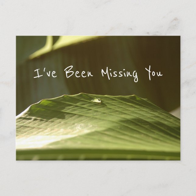 "Missing You", Water Droplet on Banana Leaf, Photo Postcard (Front)