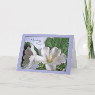 Missing You White Hibiscus Rose of Sharon Card