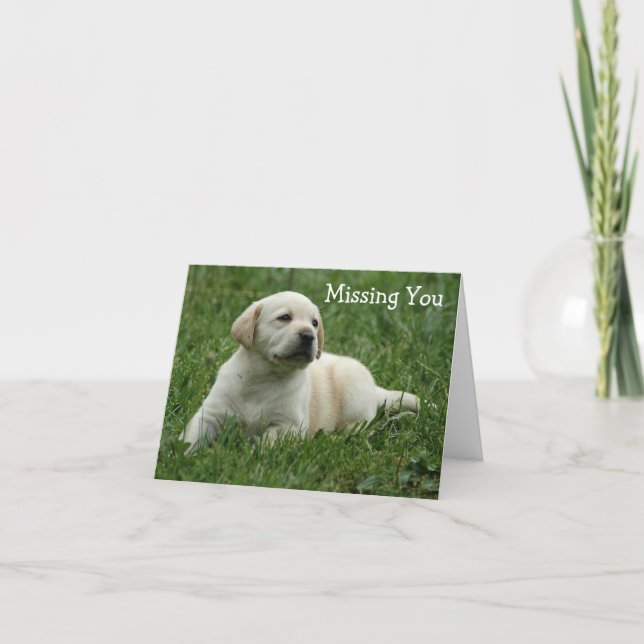 Missing You Yellow Labrador Retriever Puppy Card (Front)