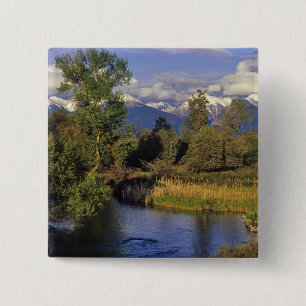 Mission Creek runs through the National Bison 2 Inch Square Button