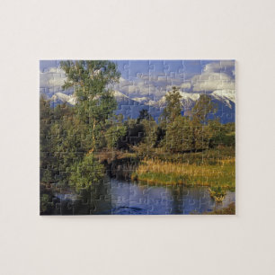 Mission Creek runs through the National Bison Jigsaw Puzzle