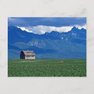 Mission Mountains, Flathead Valley, Montana, USA Postcard