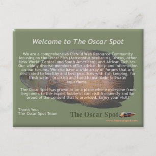 Mission Statement Postcard