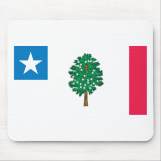 Mississippi Flag T-Shirts (1861) Mouse Pad