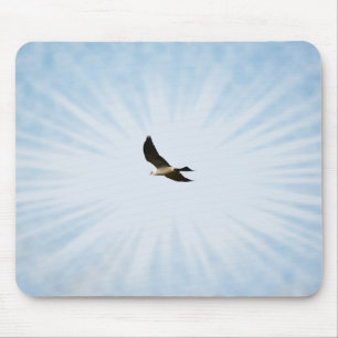 Mississippi Kite Hawk Bird Art Mouse Pad
