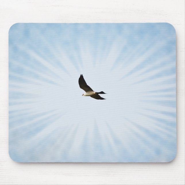 Mississippi Kite Hawk Bird Art Mouse Pad (Front)
