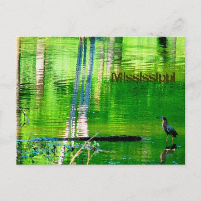 Mississippi Lake Postcard (Front)