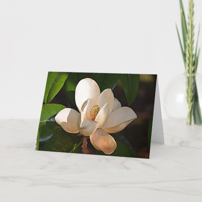 Mississippi Magnolia Card (Front)