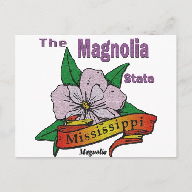 Mississippi Magnolia State  Flower Postcard (Front)