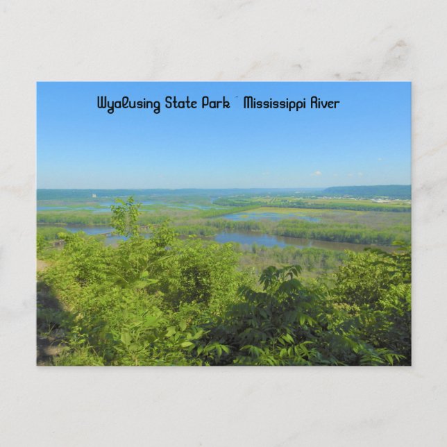 Mississippi River View from Wyalusing State Park P Postcard (Front)