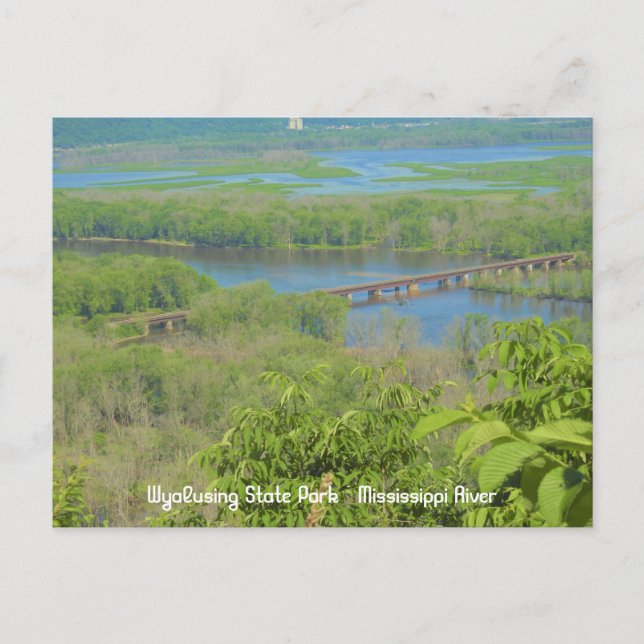 Mississippi River View from Wyalusing State Park Postcard (Front)