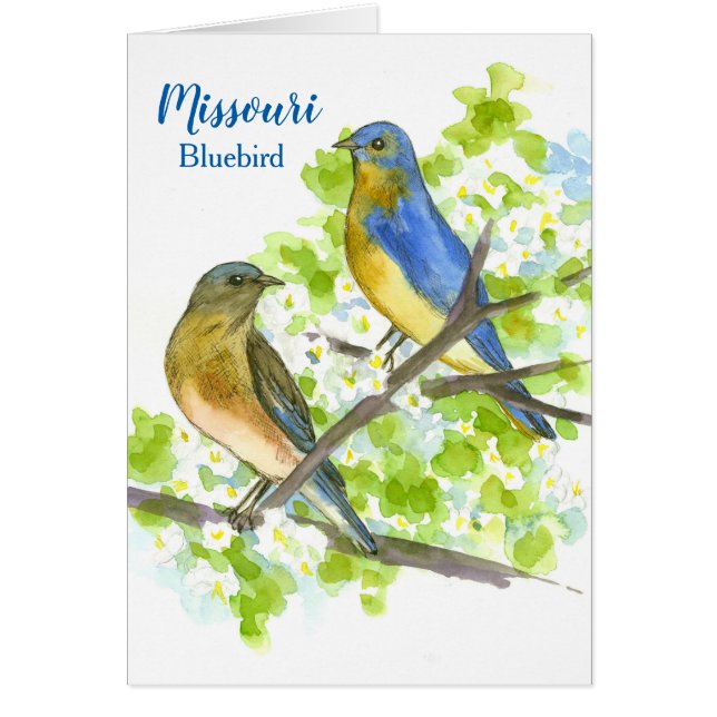 Missouri Greetings Bluebirds In A Hawthorn Tree (Front)