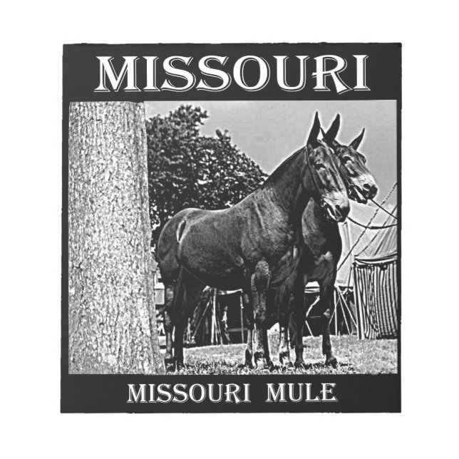 Missouri Mule Notepad (Front)