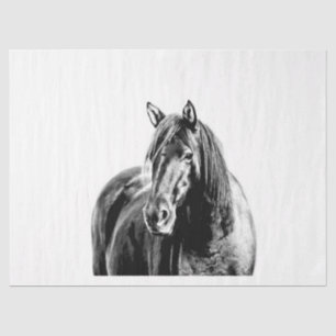 Missouri Wild Horse Tissue Paper