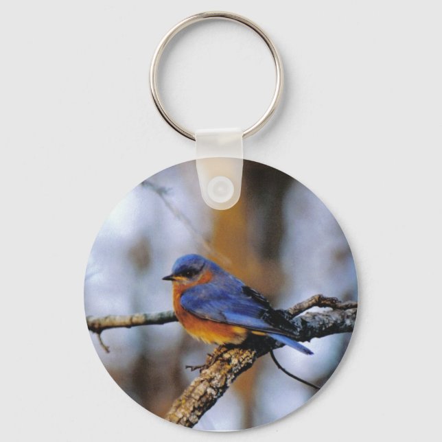 Missouris Bird key chain (Front)