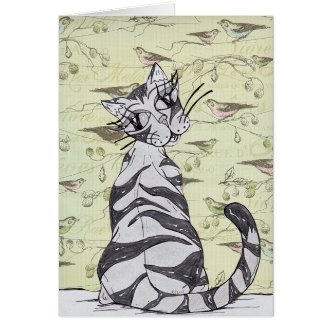 Missy Cat 01 (Front)