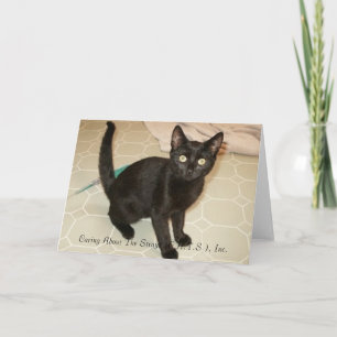 Missy Notecards