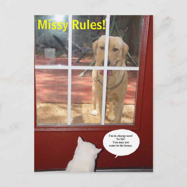Missy Rules! Postcard (Front)