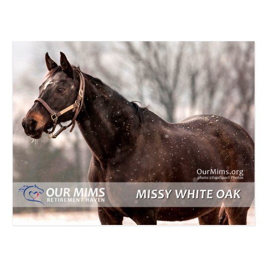 Missy White Oak postcard