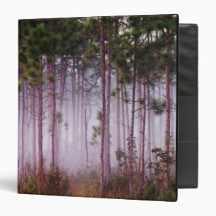 Mist among pine trees at sunrise, Everglades Binder
