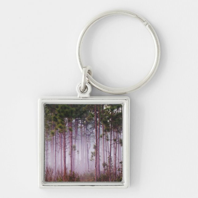 Mist among pine trees at sunrise, Everglades Keychain (Front)