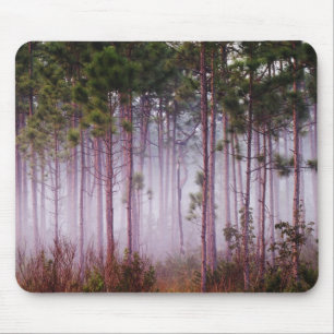 Mist among pine trees at sunrise, Everglades Mouse Pad