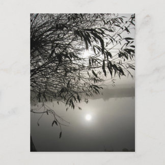 Mist and Shadow Card