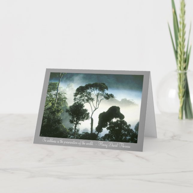 Mist Enshrouds Amazon Rainforest Card (Front)