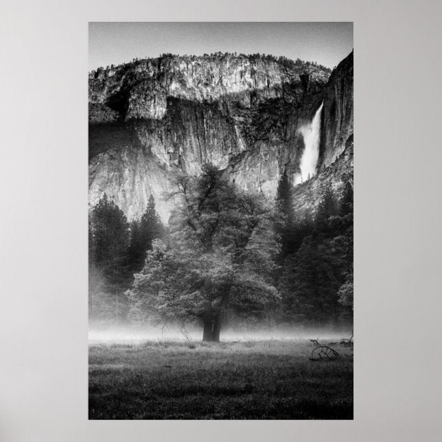 Mist in the Meadow Poster (Front)