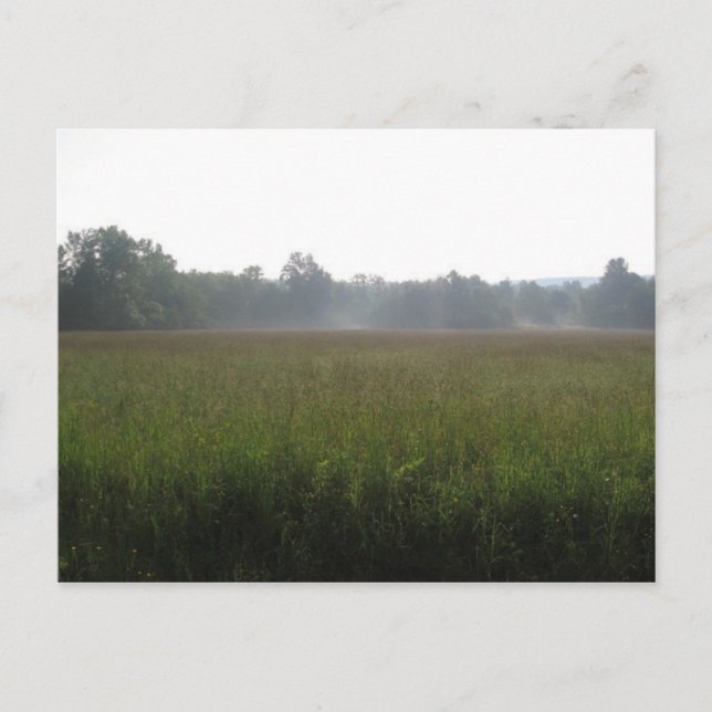 mist postcard (Front)