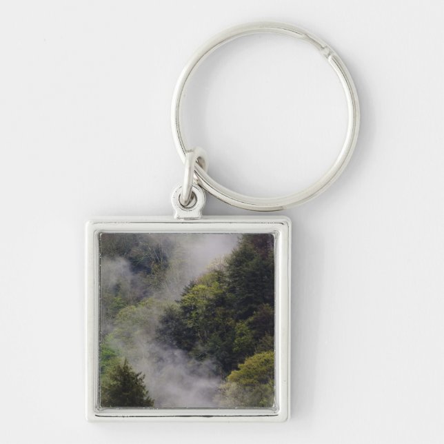 Mist rising from mountainside after spring rain, keychain (Front)