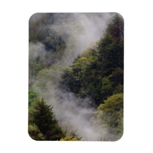 Mist rising from mountainside after spring rain, magnet