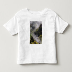 Mist rising from mountainside after spring rain, toddler t-shirt