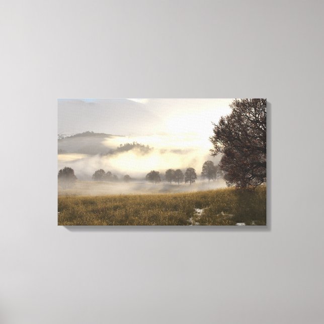 Mist Upon The Meadow Canvas Print (Front)