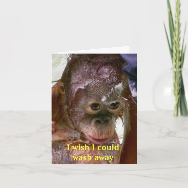 Mistakes I'm Sorry Card (Front)