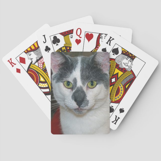 Mister Pants Playing Cards (Back)