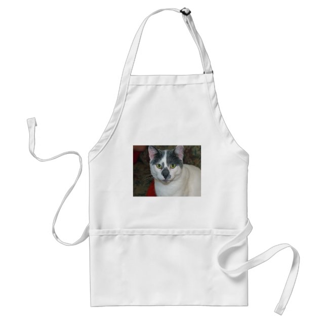 Mister Pants Standard Apron (Front)