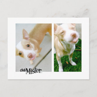 Mister! Tongue! Postcard